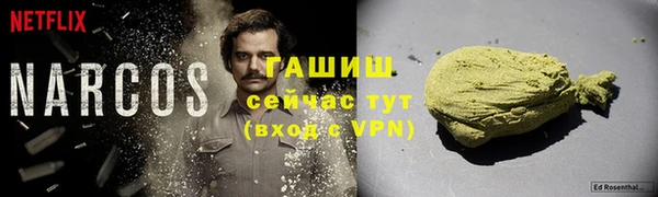 гидра Алексеевка