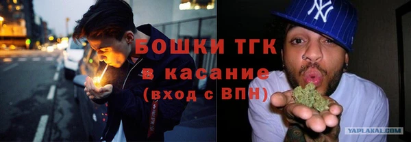 гидра Алексеевка