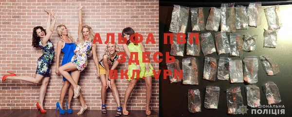 гидра Алексеевка