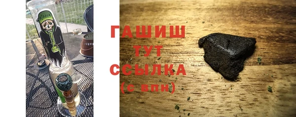 СК Новодвинск