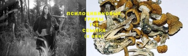 Альфа ПВП Алексин