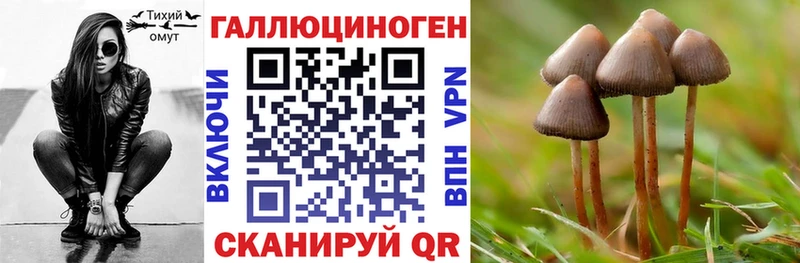 Галлюциногенные грибы Psilocybe  хочу наркоту  KRAKEN ССЫЛКА  Бокситогорск 